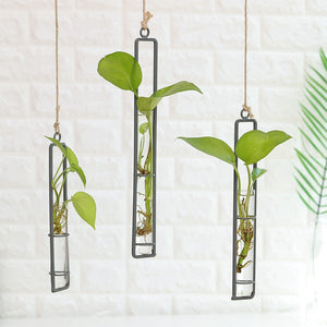 Iron Wall Hanging Flower Glass Pots - Korbox