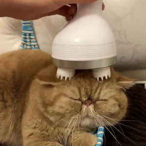 Pet Intelligent Cats Automatic Rotate Head Massager - Korbox